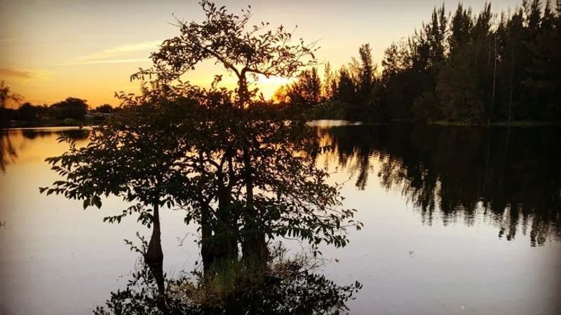 Everglades Kayak | 3HR Shared Trip